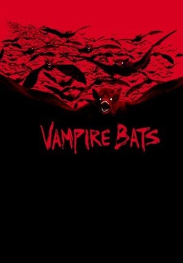 vampire-bats-1359755-1