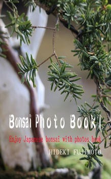 bonsai-photo-book--3294018-1