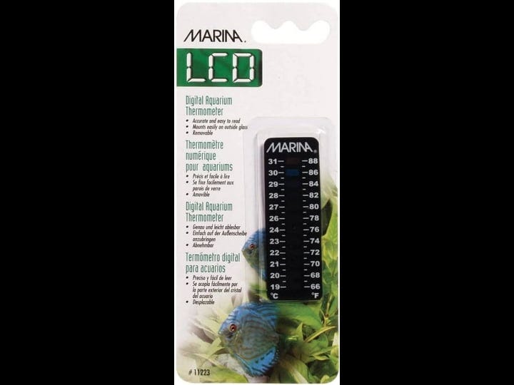 marina-dorado-thermometer-1