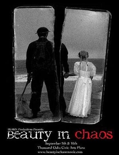 beauty-in-chaos-4808196-1
