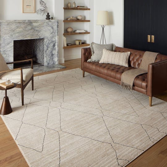 alexander-home-harrison-modern-diamond-area-rug-4-x-6-1