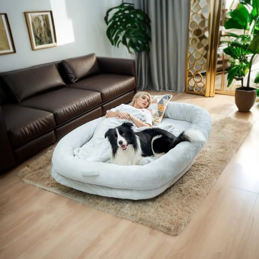 Large Memory Foam Squishmallow Dog Bed for Comfortable Shared Sleeping | Image