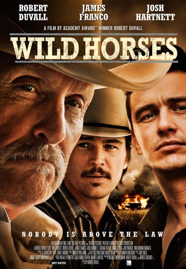 wild-horses-91056-1