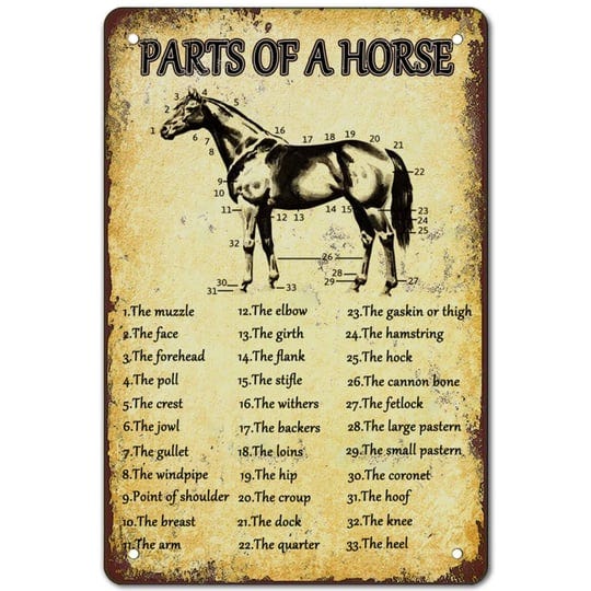 retro-horse-knowledge-metal-posters-parts-of-horse-signs-horses-anatomy-tin-sign-horse-poster-decora-1