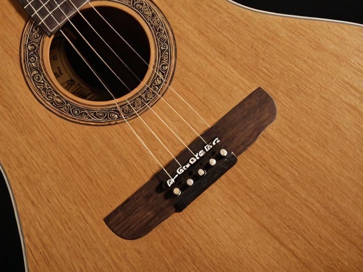 Fender-Acoustic-Guitar-6