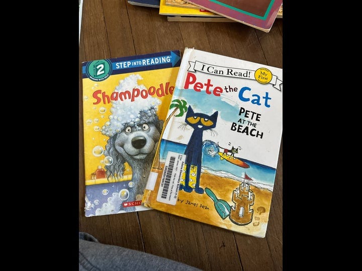 pete-the-cat-pete-at-the-beach-book-1