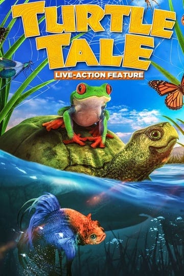 turtle-tale-4567693-1