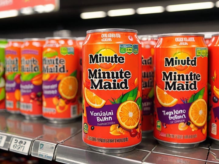 Minute-Maid-Fruit-Punch-3