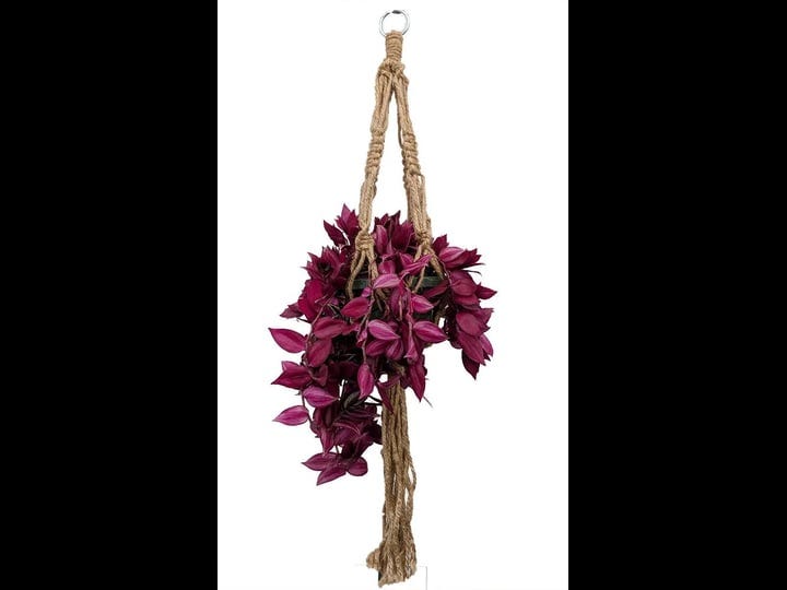 natural-jute-macrame-plant-hanger-37-length-holds-6-8-pot-size-model-31