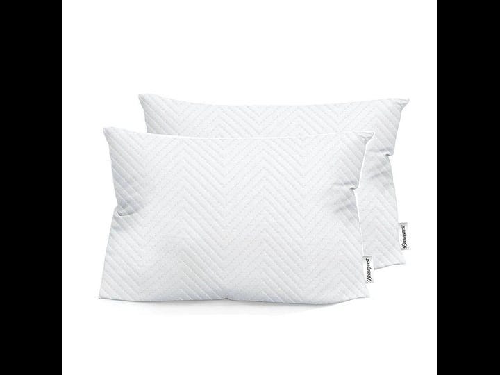 beautyrest-antimicrobial-quilted-memory-foam-pillow-set-of-2-1