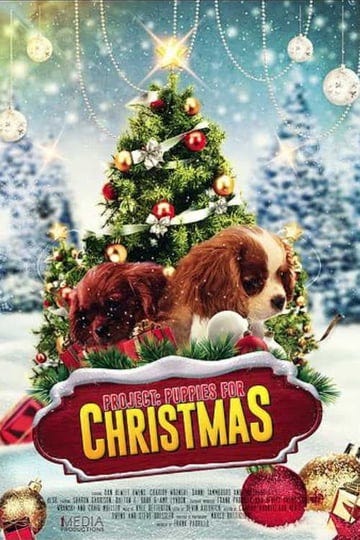 project-puppies-for-christmas-4645986-1