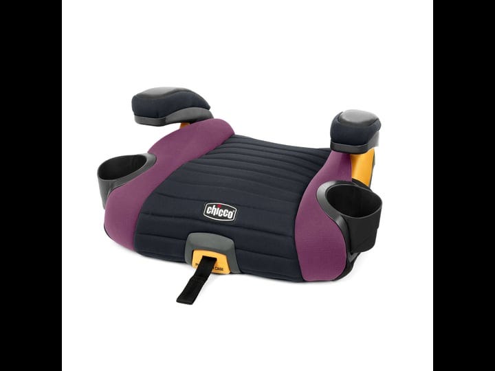 chicco-gofit-plus-backless-booster-car-seat-vivaci-1