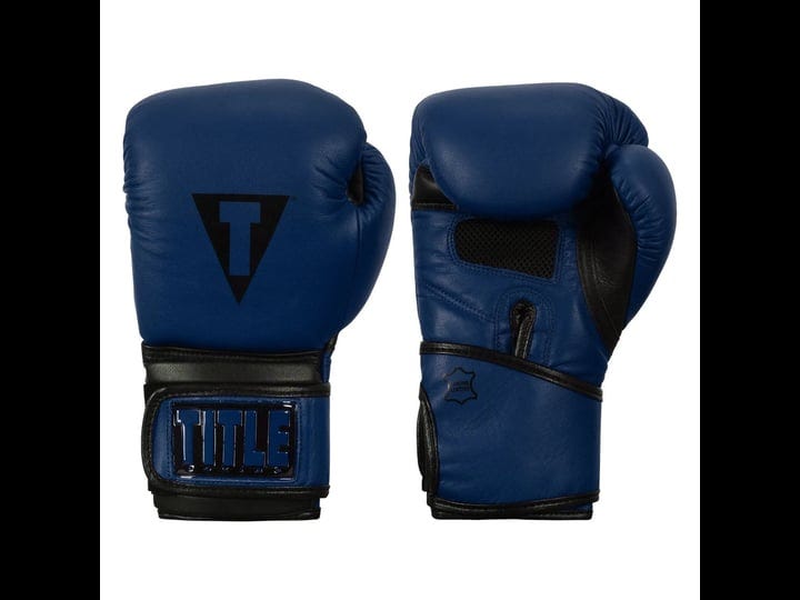 title-boxing-dauntless-training-gloves-blue-black-14-oz-1