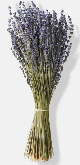 honeeva-dried-lavender-bundle-100-natural-for-home-decoration-long-lasting-fragrance-aromatic-well-b-1