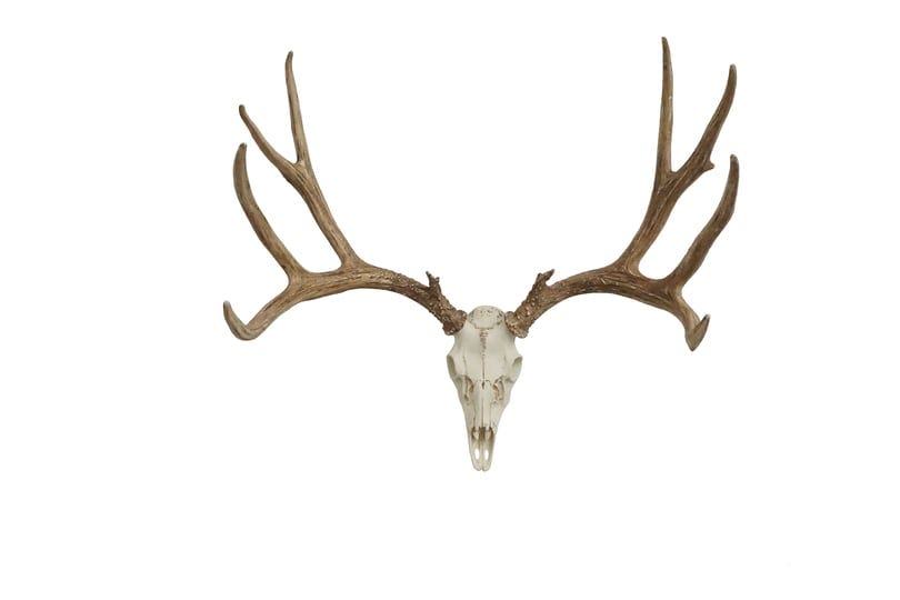 european-mule-deer-mount-1