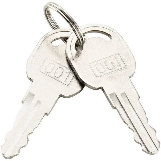 replacement-keys-for-outer-door-of-global-industrial-narcotics-cabinet-436951-2pcs-key001-rp9901-1