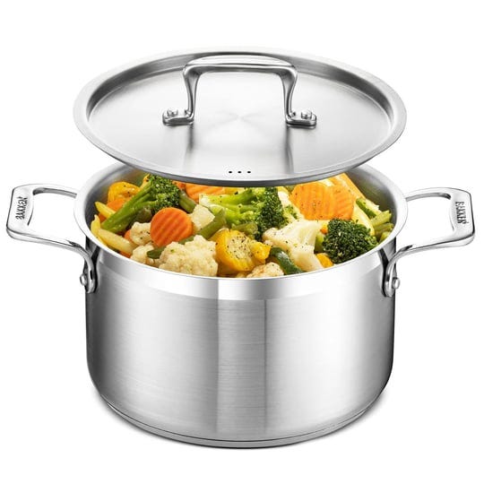 bakken-swiss-stockpot-5-quart-stock-pot-stainless-stock-pot-with-lid-stainless-steel-stock-pot-bakst-1