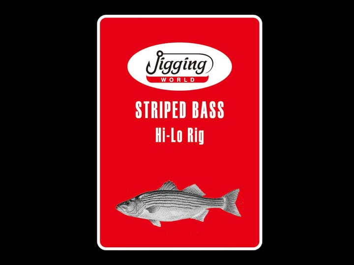 jigging-world-striped-bass-rigs-hi-lo-5-0-hooks-1
