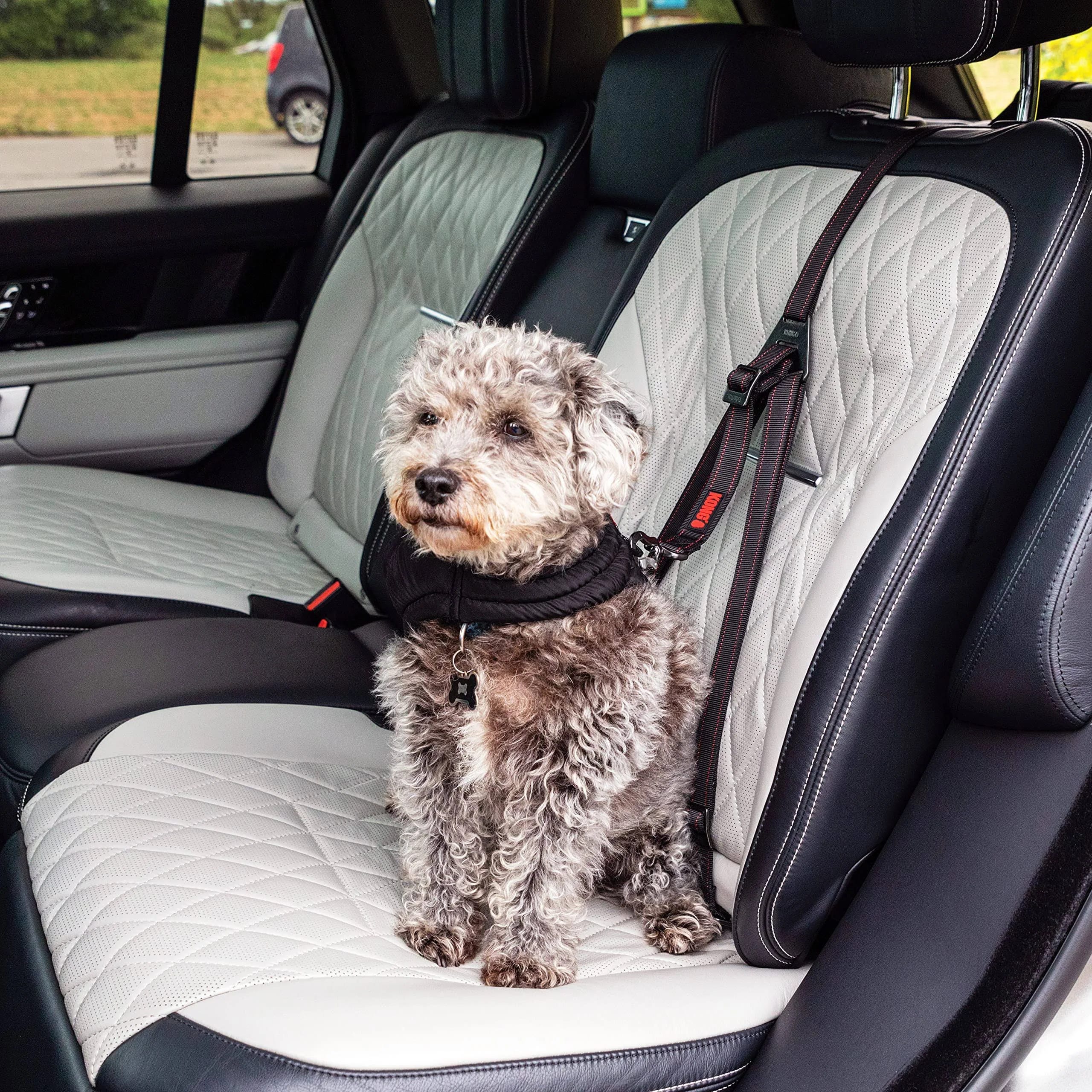 Doggy Seat Belt with Universal Fittings and Extra Strength | Image
