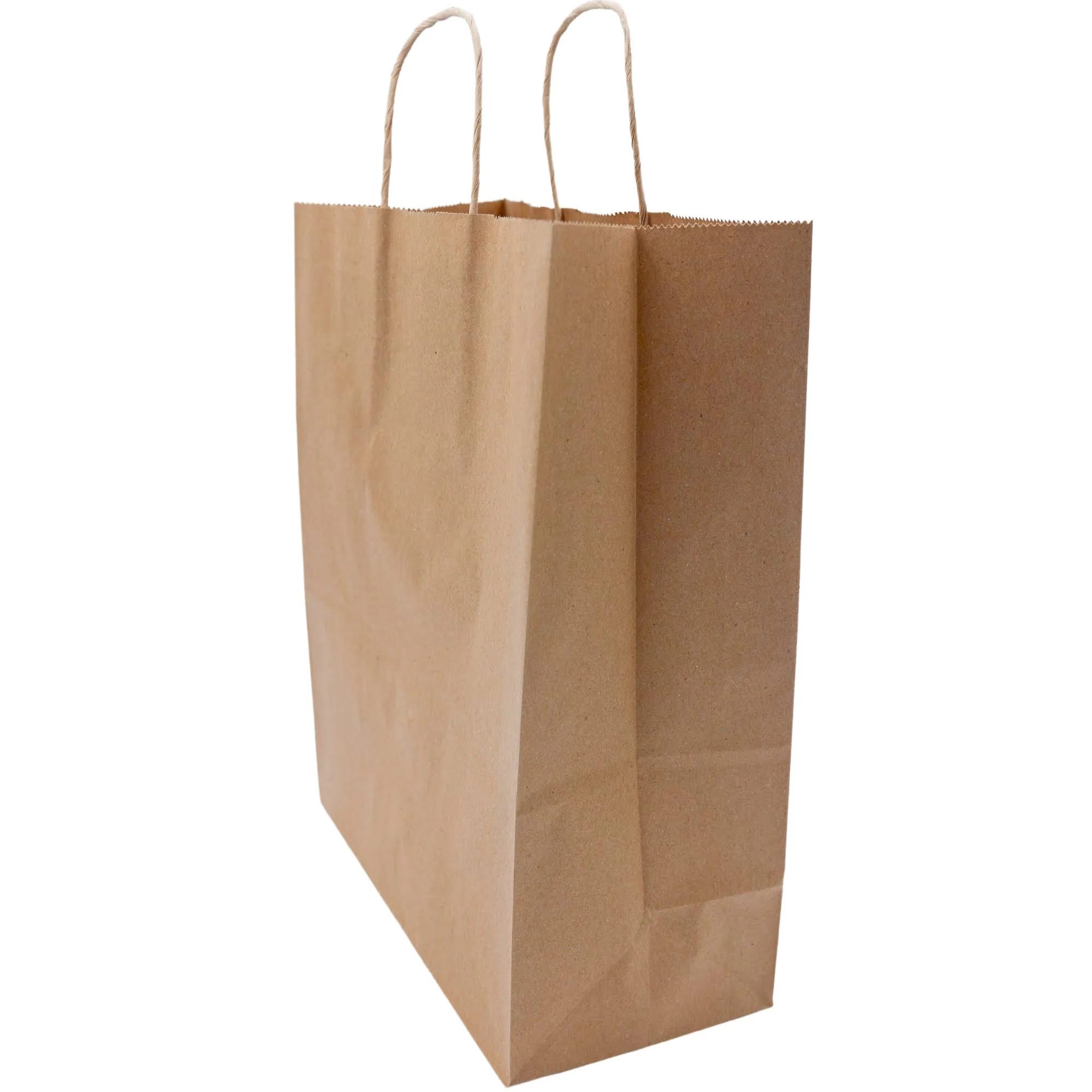 Heavy-Duty Kraft Handle Paper Bags - Eco-Friendly 74 LB Options | Image
