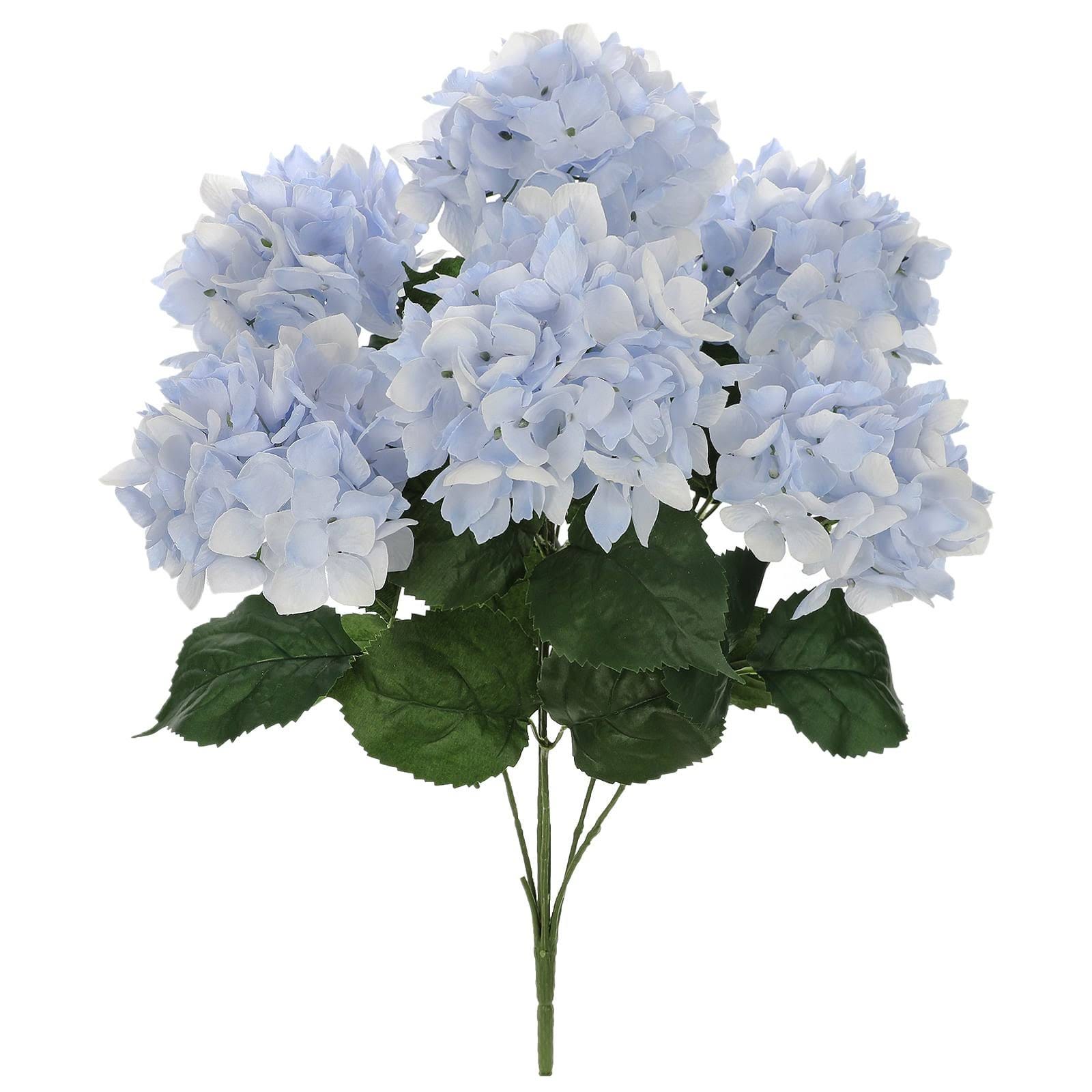 Stylish Light Blue Hydrangea Bush for Indoor Placement | Image