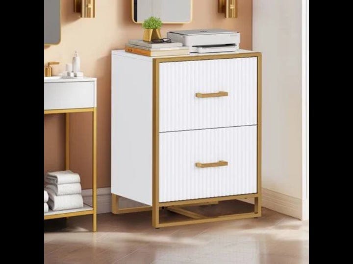 dextrus-2-drawer-file-cabinet-with-metal-legs-wood-lateral-filing-cabinet-printer-stand-fits-a4-lett-1