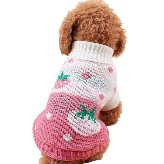 chborchicen-pet-dog-sweaters-classic-knitwear-turtleneck-winter-warm-puppy-clothing-cute-strawberry--1