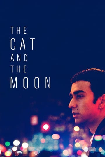 the-cat-and-the-moon-1043417-1