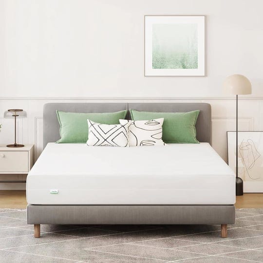 novilla-placidity-bamboo-charcoal-foam-mattress-medium-plush-mattress-mattress-in-a-box-12-inch-quee-1