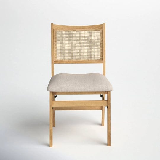 donner-levan-rattan-cane-folding-dining-chair-joss-main-1