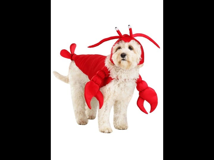 lobster-costume-for-dogs-adult-unisex-red-xl-fun-costumes-1