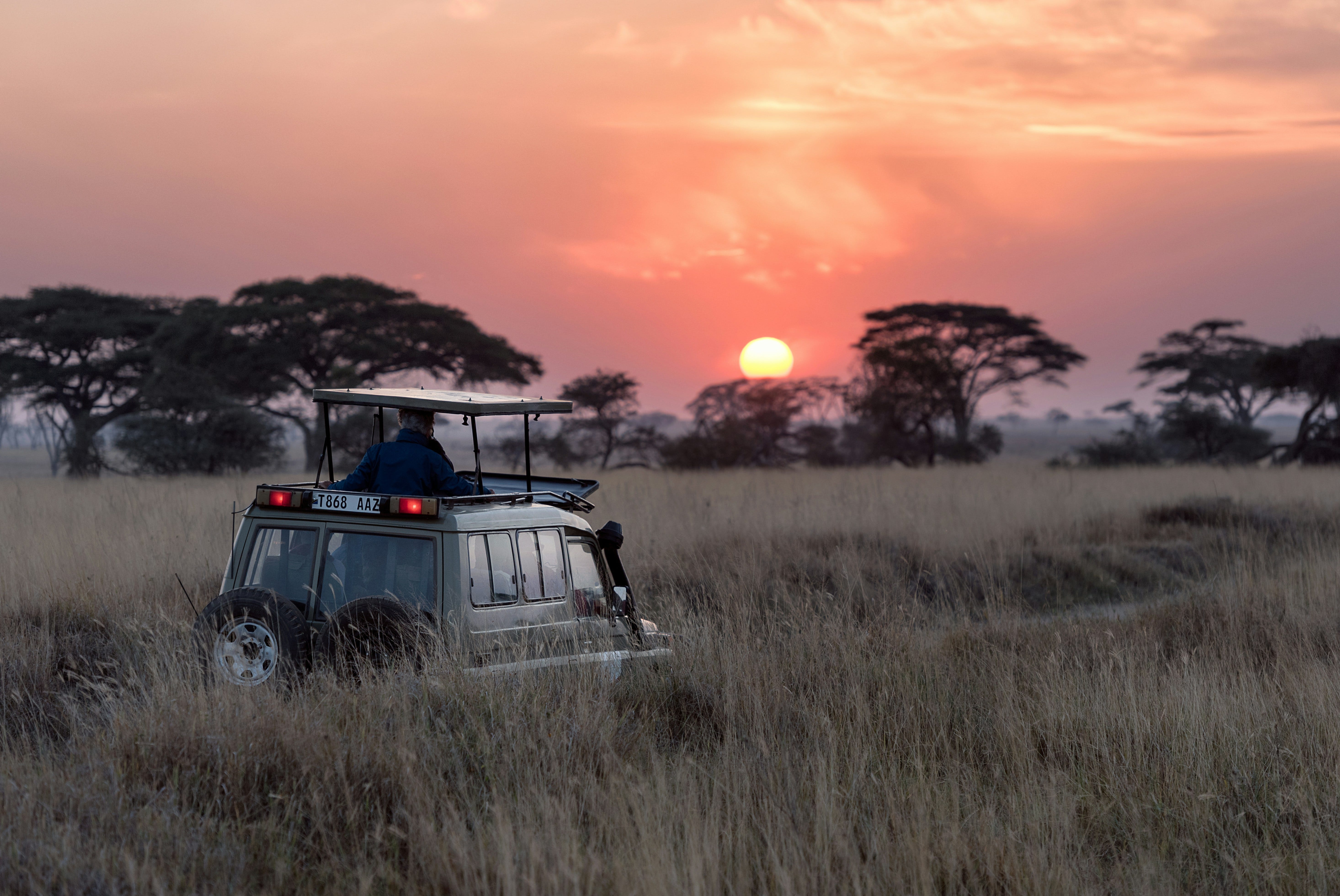 Wildlife Wonders: Exploring Zimbabwes National Parks