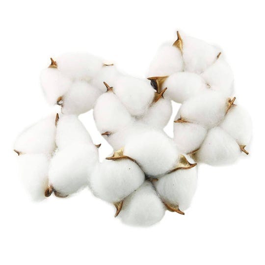 tegg-cotton-boll-20pcs-natural-white-cotton-balls-dried-cotton-pods-for-crafting-farmhouse-style-1