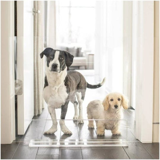 hiddin-clear-view-panel-freestanding-dog-gate-36-in-1