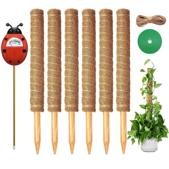 premium-moss-pole-for-plants-monstera-94-6-pack-15-8-inch-monstera-plant-support-moss-poles-for-clim-1