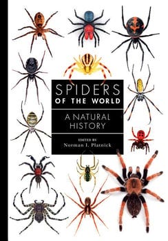 spiders-of-the-world-83203-1