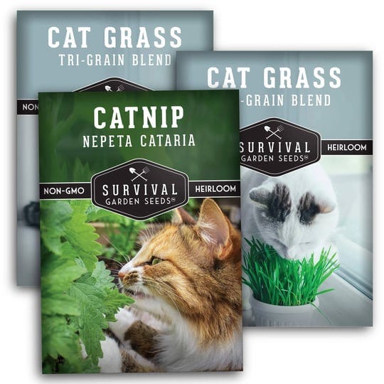 cat-collection-catnip-and-cat-grass-seeds-1