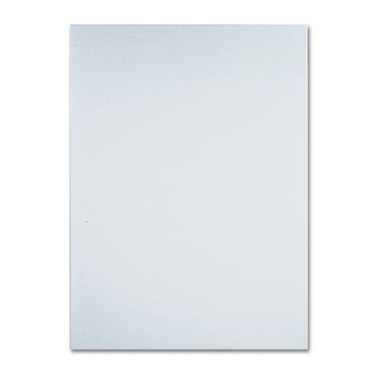 trademark-fine-art-professional-blank-white-canvas-on-stretcher-bars-size-24-inch-x-18-inch-1