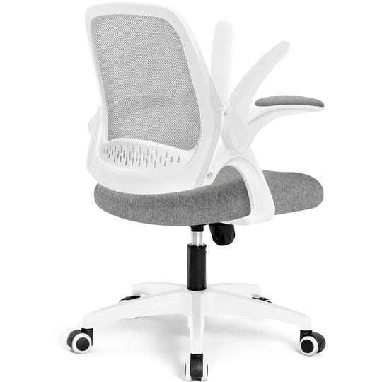 neo-chair-adjustable-office-chair-with-flip-up-padded-armrest-ergonomic-back-support-gray-1