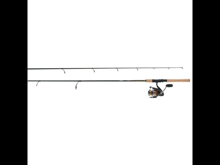 daiwa-bg-saltwater-spinning-combo-1