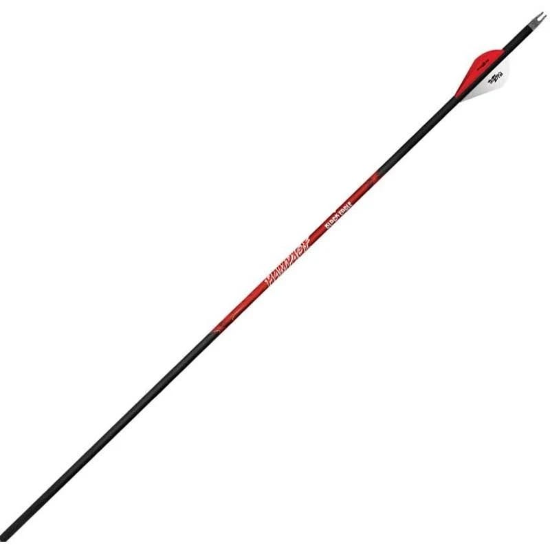 Black Eagle Rampage Arrows 300 .003 - Versatile Archery Accessory | Image