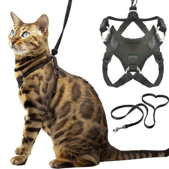 houdi-cat-harness-and-leash-escape-resistant-light-and-safe-m-1