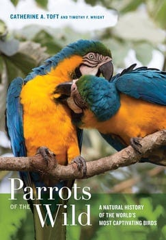 parrots-of-the-wild-1116841-1