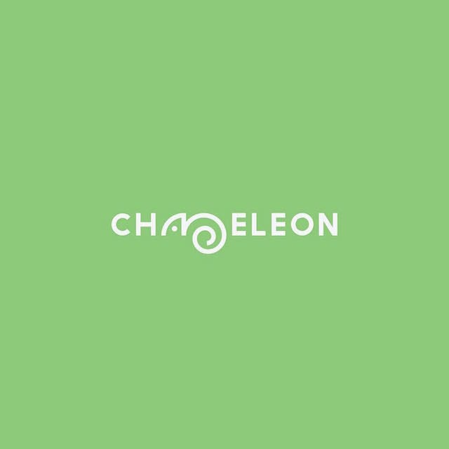 Clever Typographic Logos - Chameleon