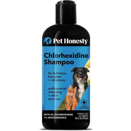 chlorhexidine-shampoo-16-ounces-1