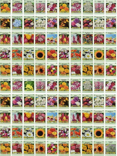 set-of-100-assorted-valley-green-flower-seed-packets-flower-seeds-in-bulk-21