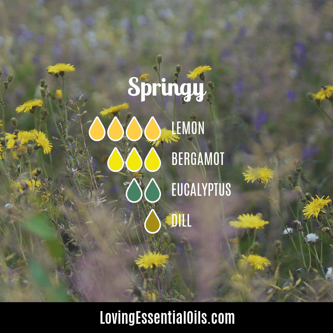 Springy Diffuser Blend with Dill, lemon, bergamot by Loving Essential Oils