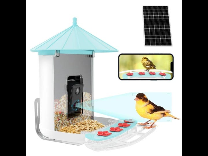 jar-owl-smart-bird-feeder-camera-solar-powered-1080p-hd-camera-auto-capture-bird-videos-ai-identify--1