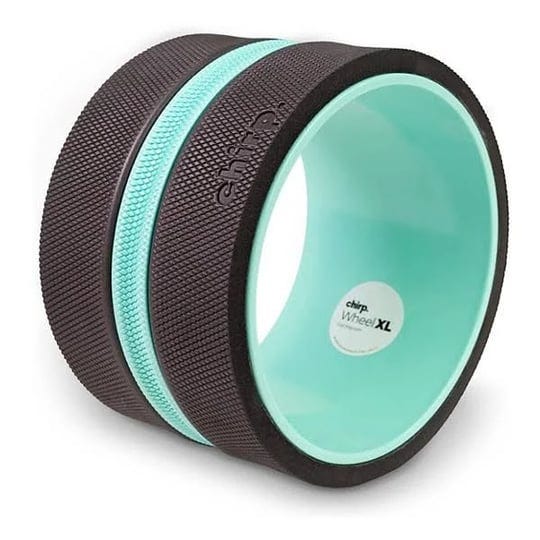 chirp-roller-wheel-xl-1