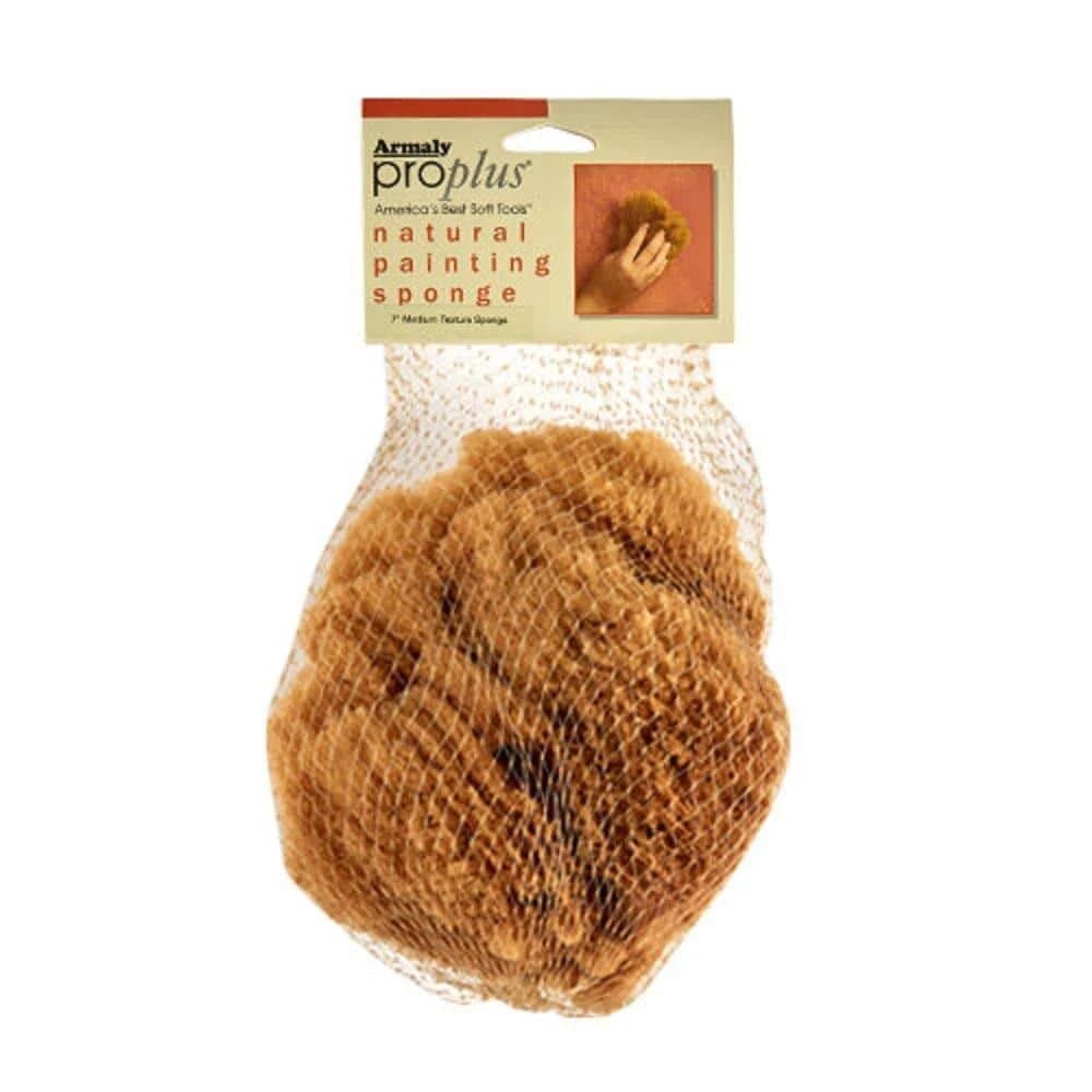 Armaly Proplus 5 in. Coarse Texture Sponge Set | Image